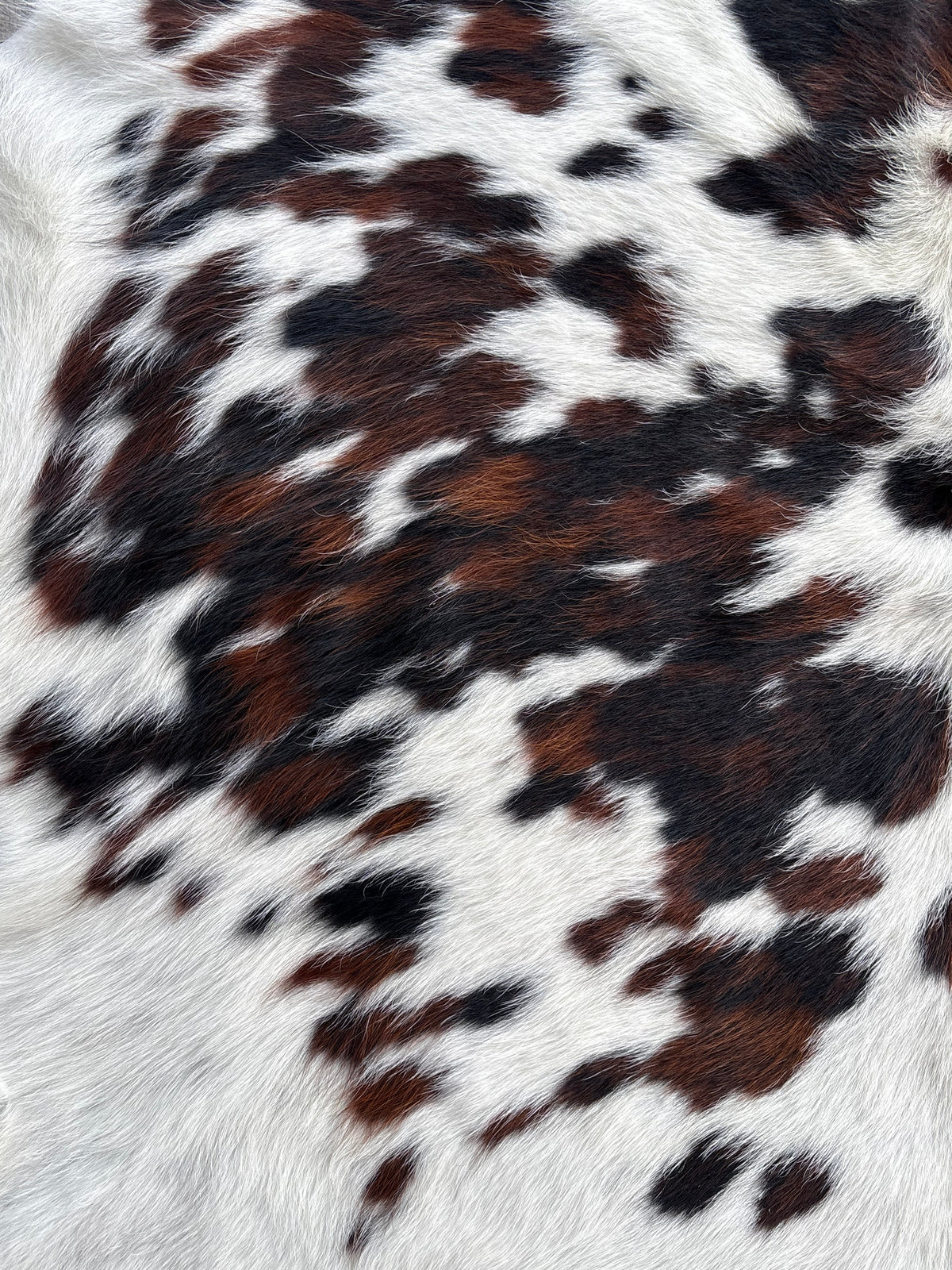 Cowhide #10