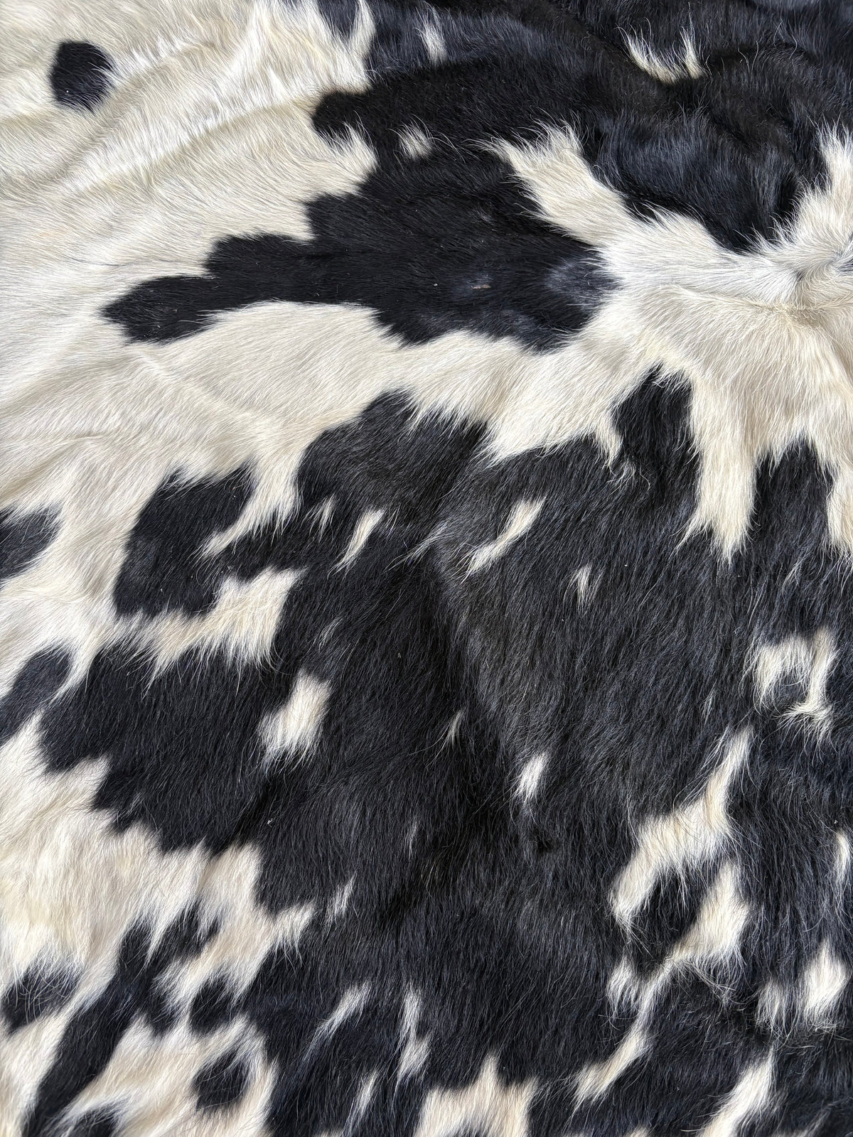 Cowhide # 13