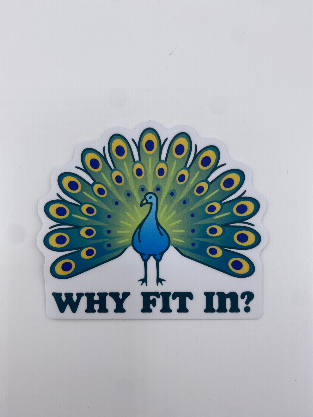 Sticker - Why Fit In