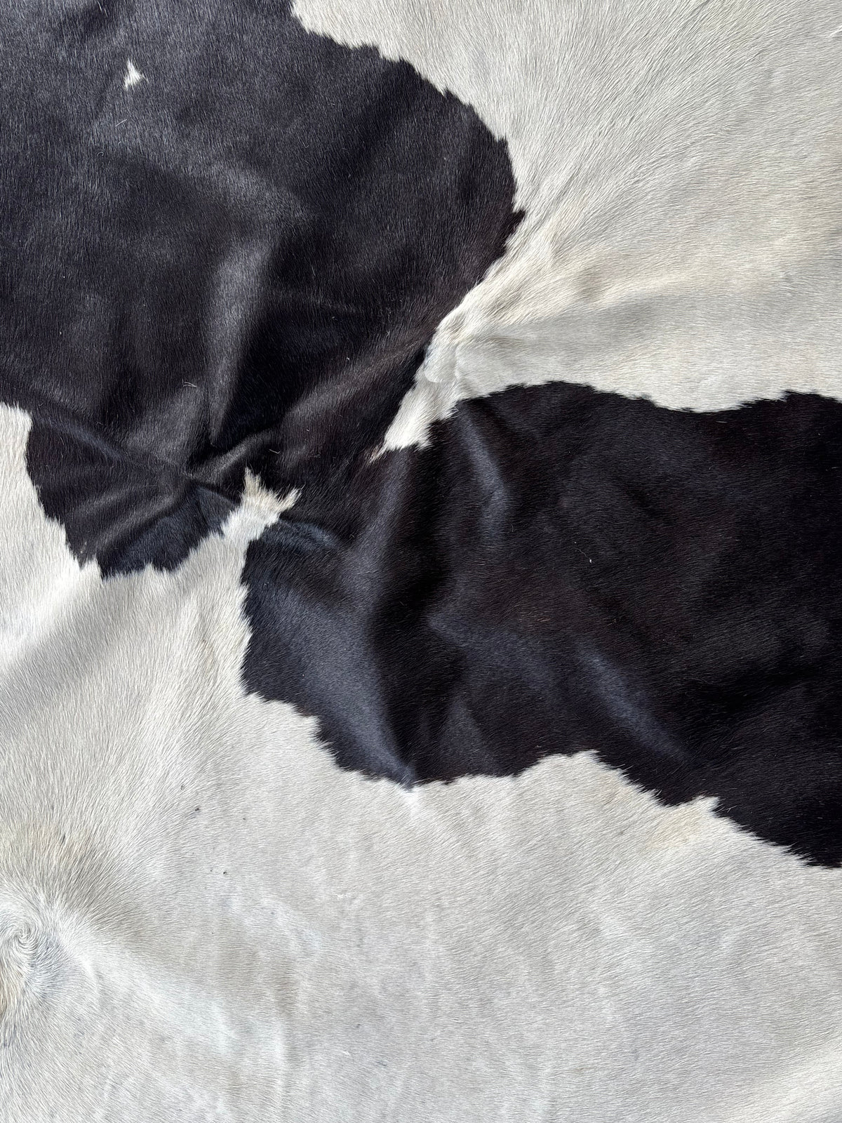Cowhide #11