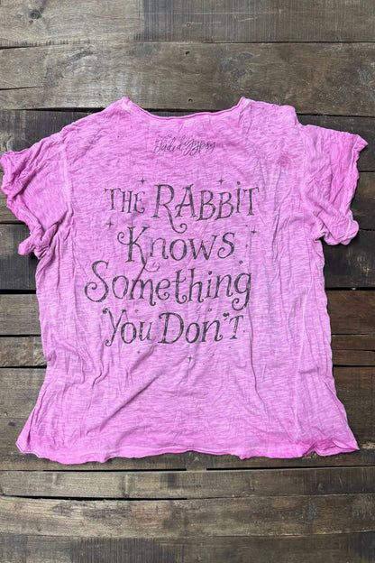 Worn and Weathered Tee- Gypsy Rabbit