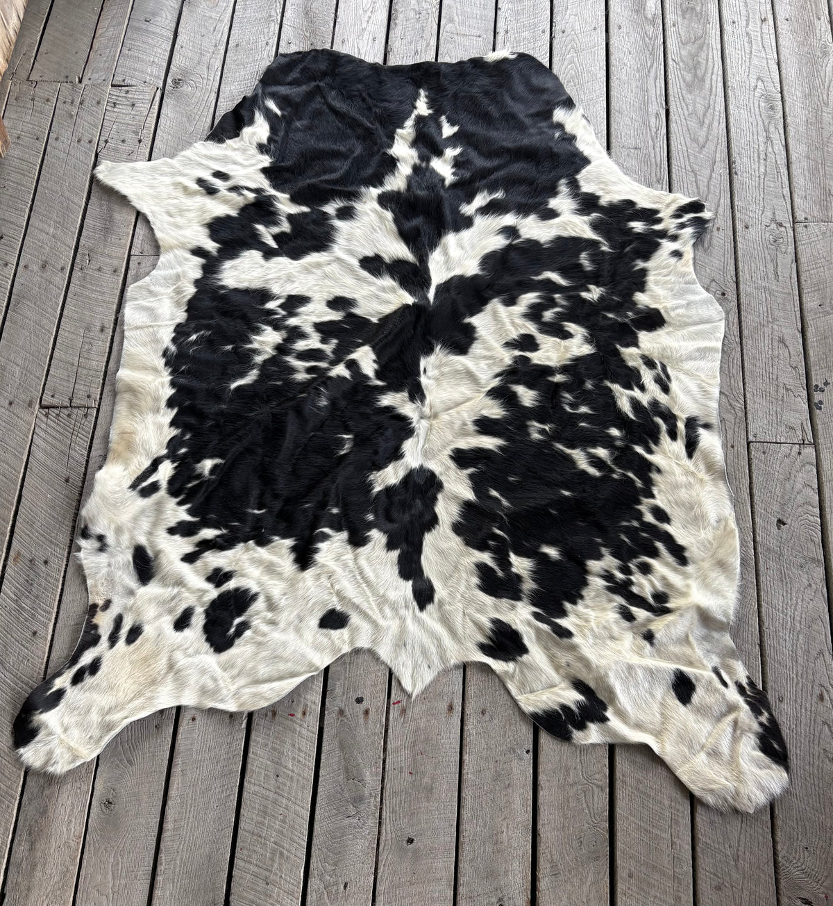 Cowhide # 13