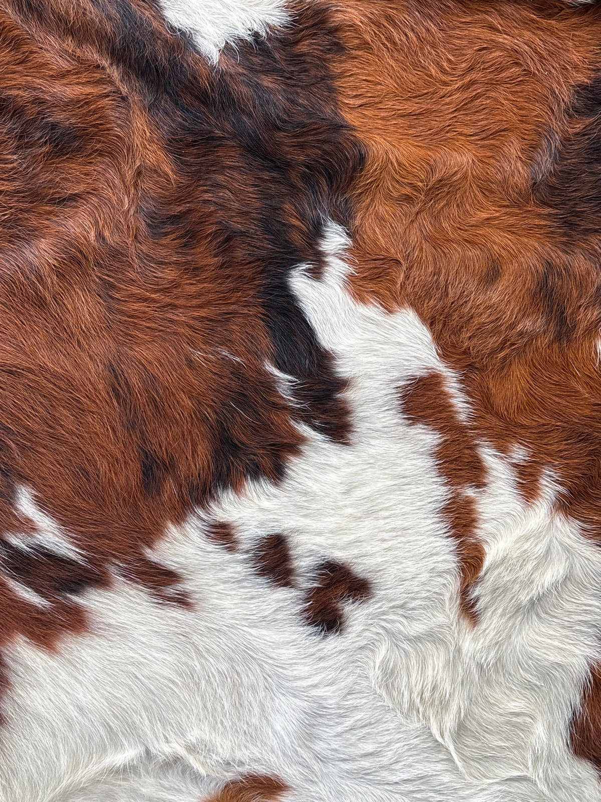 Cowhide # 1