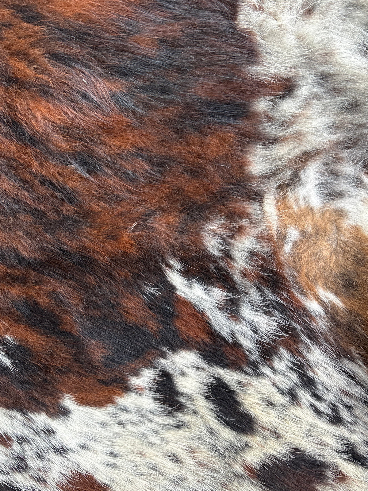 Cowhide #2