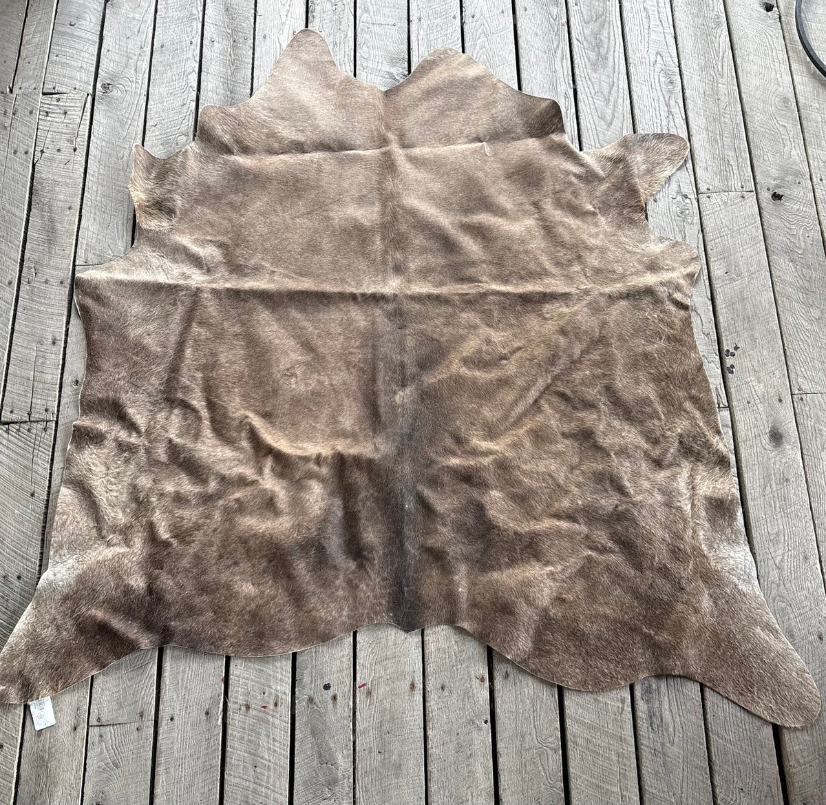 Cowhide #16