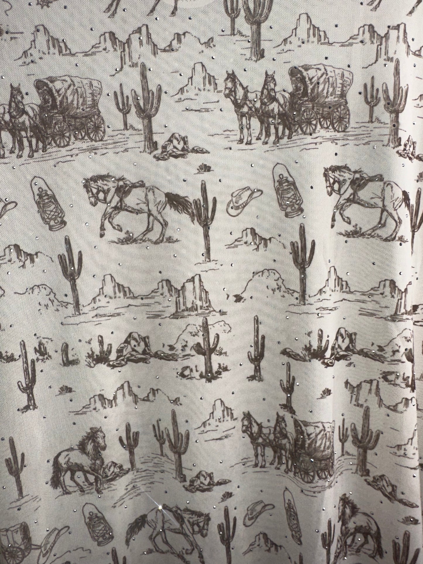 Long Sleeved Mesh Top - Old West bling detail