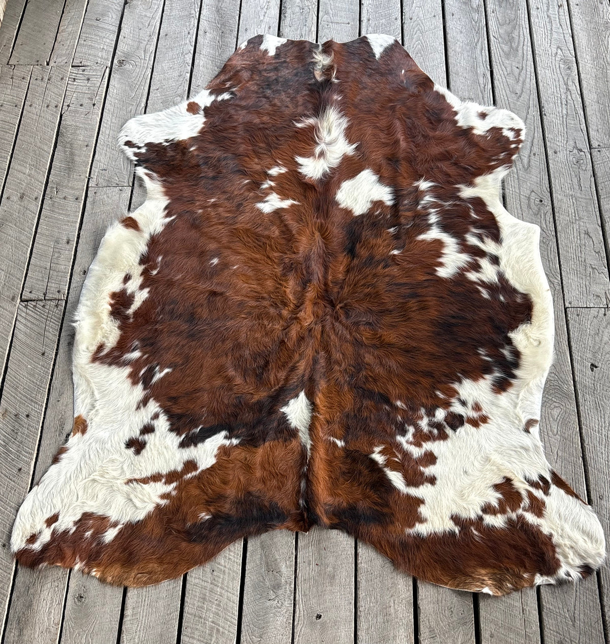 Cowhide # 1