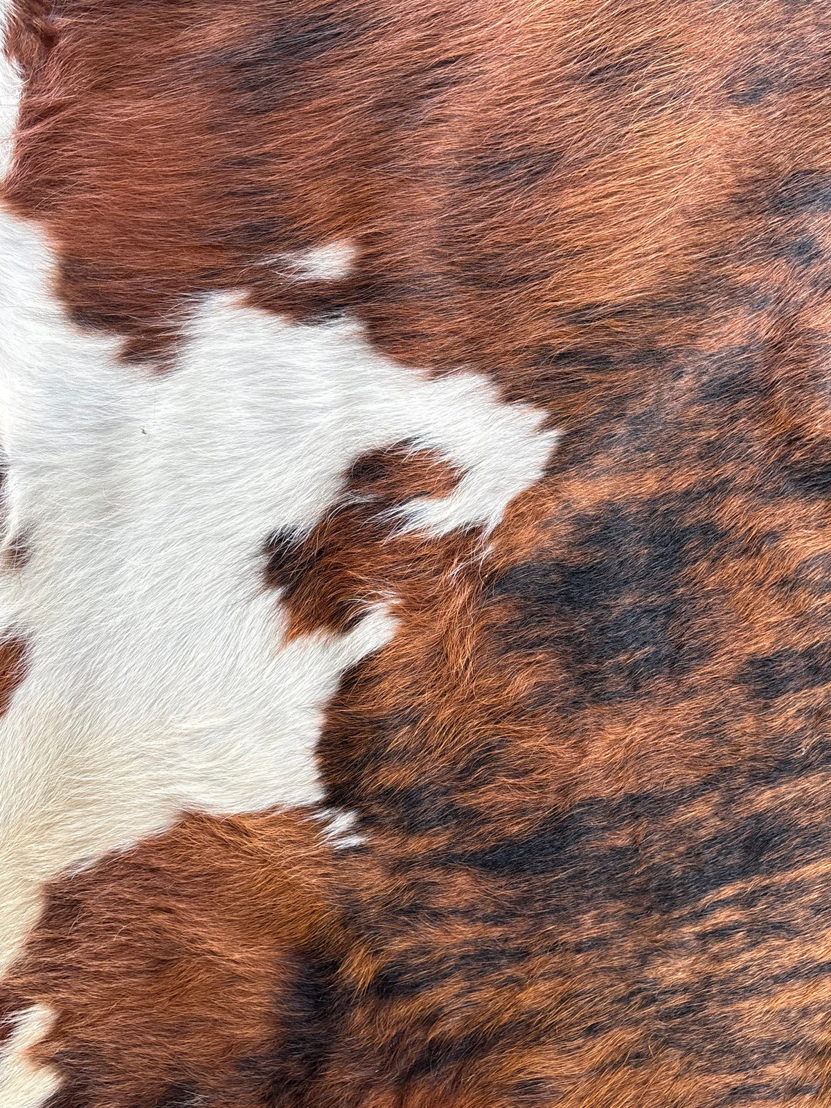 Cowhide #4