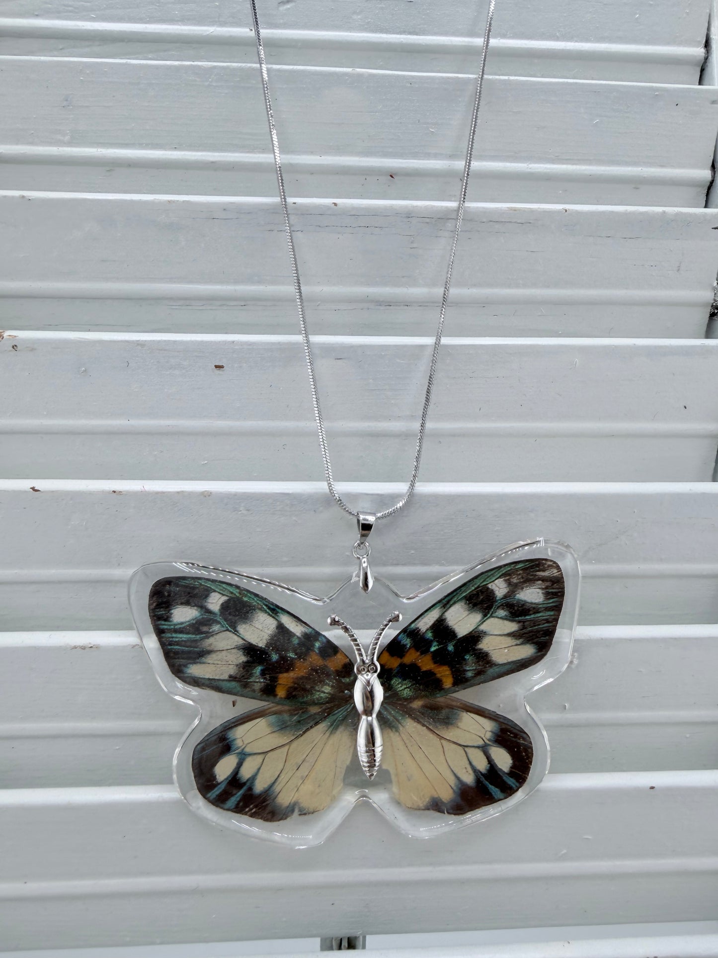 Butterfly Necklace -  Erasmia  Day Flying Moth