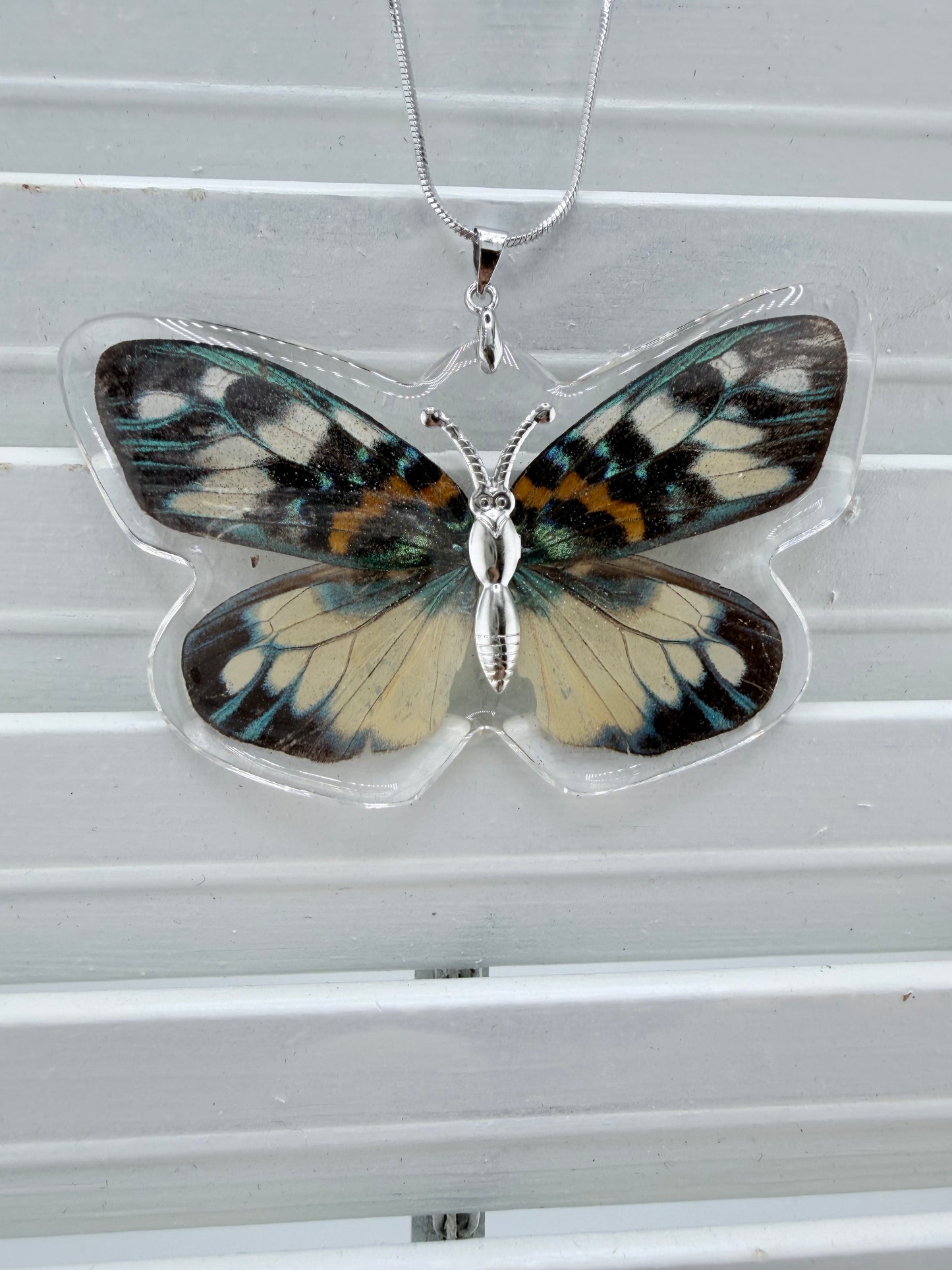 Butterfly Necklace -  Erasmia  Day Flying Moth