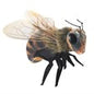 Honey Bee Puppet